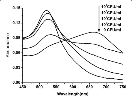 Figure 4 UV–vis absorption spectra and colorimetric response.(I) E. coli O157:H7 with A1/AuNPs