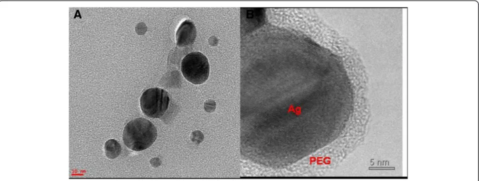 Figure 1 UV–vis spectroscopy. UV–vis spectra of PEG-coated AgNPsobtained by either rapid (curve A) or dropwise (curve B) addition ofAgNO3 to an aqueous PEG solution