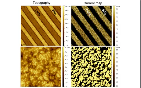 Figure 1 Topography (left column) vs. current map (right column).