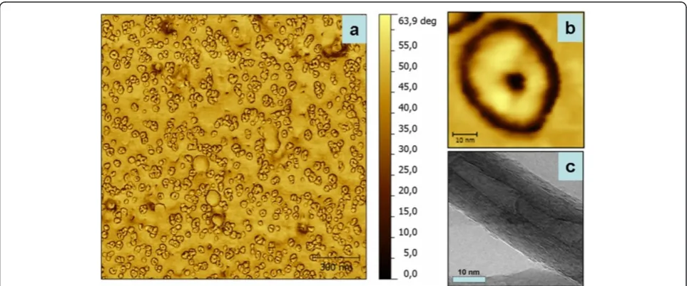 Figure 2 High-resolution AFM phase images and TEM image of MWCNT. High-resolution AFM phase images inside the MWCNT array (a)and of a single MWCNT (b); TEM image of a single MWCNT (c).