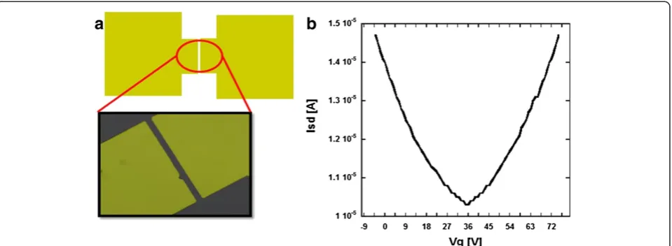 Figure 4 Characteristics for a GR-FET GHz detector. (a) Basic two-terminal metal contact