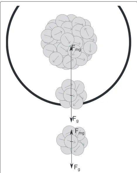 Figure 1 Sketch of the limit distance. A comparison of the forcesacting on aggregates depicted by a two-dimensional ﬁgure
