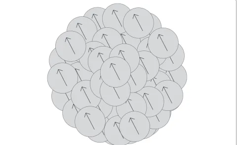Figure 5 Diagram of spherical structure. A diagram of a spherical structure of nanoparticles within an aggregate with schematic directions of themagnetization vectors of the nanoparticles.