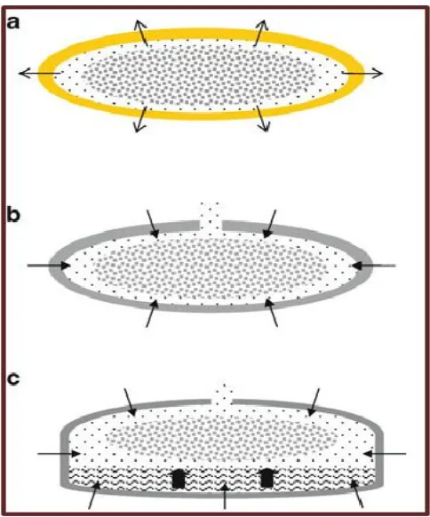 Figure 2. Characteristic representation of plasma concentrations of a conventional immediate release dosage form (IR), a sustained release dosage form (SR) and an idealized zero-order controlled release (ZOCR) dosage form (in combination with a start-up do