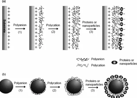 Figure 1. (a) Schematic illustration of film deposition process through LbL self-assembly on a flat substrate