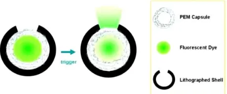 Figure 4. Lithographically made nanocapsule  