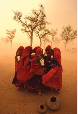 Fig. 2. Steve McCurry, Holi Man