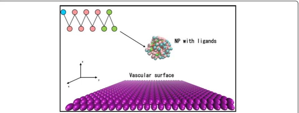 Fig. 1 Coarse-grained model of a spherical nanoparticle (NP) and capillary surface. The NP is coated with ligands, and the vascular surface is(hydrophilic beads) that are permanently attached to the NP