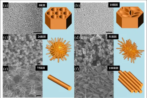 Fig. 1 SEM images and schematic drawing of hematite thin films at different aging humidity levels.c a FN(80 °C, 0 %); b FN(80 °C, 10 %); FN(80 °C, 26 %); d FN(80 °C, 51 %); e FN(80 °C, 75 %); and f FN(80 °C, 100 %)