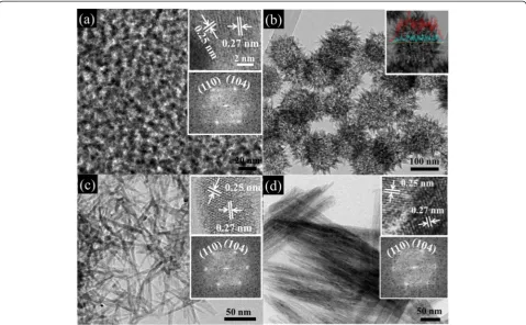 Fig. 3 SEM images of hematite thin films at different aging temperatures. a FN(40 °C, 75 %); b the TEM image of FN(40 °C, 75 %), andc FN(60 °C, 75 %)