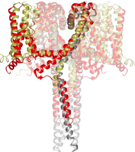 Figure 4 | Structural alignments comparing the CTDs of open and closedsodium channels