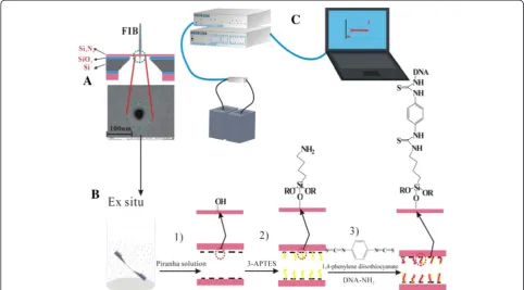 Figure 2 Schematic representation. (A) Nanopore fabrication, (B) functionalization of a nanopore by ex situ method, and (C) electricalmeasurement setup.