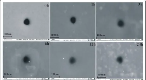 Figure 3 I-V characteristics and open pore current. (A) I-V characteristics of functionalized nanopore with silanization