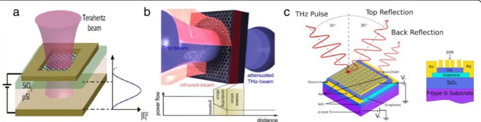 Figure 9 GTMs. (a) Electro-optical GTM. Gating voltage is applied between the top electrode and back electrode (also used to reflect the tera-hertz beam) to modulate the terahertz absorption of graphene