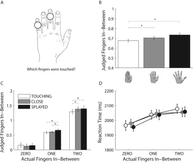 Figure 2. Schematic representation of the localization task (fingers were separated by one centimetre