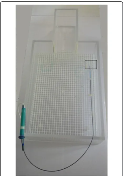 Figure 2 Catheter pathway in the MR scanner. The catheter isplaced at the lateral left side of the phantom