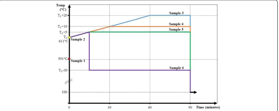 Figure 1 Temperature profiles of GaAs (001) samples sublimated in MBE.