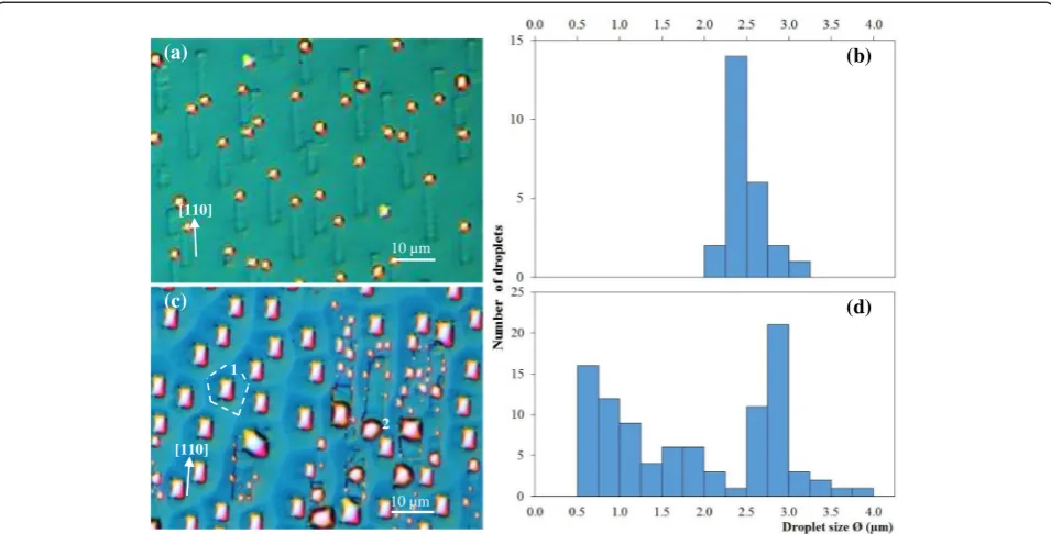 Figure 3 Surfaces of sample 3 after 30-min sublimation at T0 + 20°C. The sample suffers from temperature nonuniformity as (a) the DIC imageand (b) the corresponding size histogram of the droplets in the cold zone differ significantly from (c) the DIC image and (d) the correspondingsize histogram of the droplets in the hot zone.