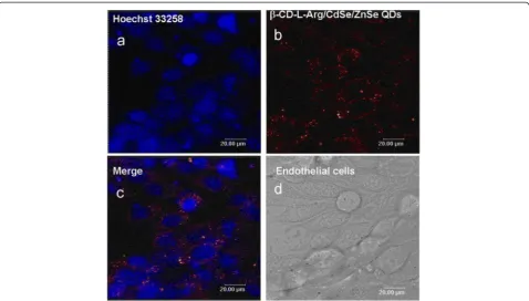 Figure 8 The schematic of folate-receptor targetedβ γ-CD/FA-functionalized QDs using tumor-targeting FA in the presence of cell-penetrating-CD [57].