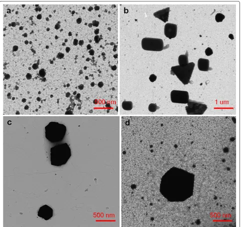 Figure 4 TEM micrographs that show the formation of AgNPs with different shapes for different PAA concentrations