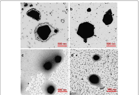 Figure 7 TEM micrographs that show the formation of AgNP with different shapes for different DMAB concentrations