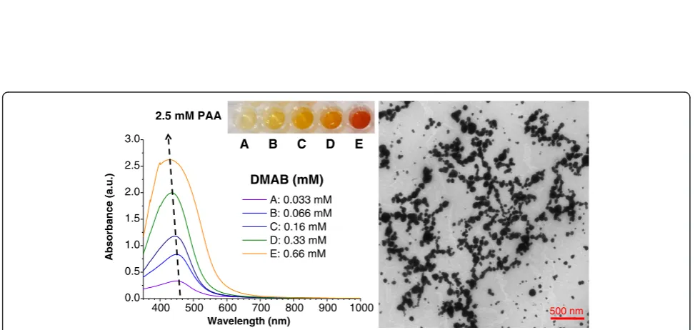 Figure 8 TEM micrographs showing the formation of AgNP using 10 mM PAA and different DMAB concentrations