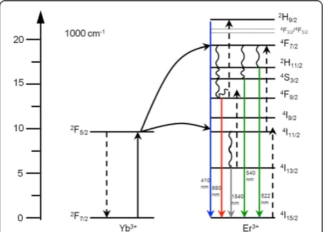 Figure 2 Upconversion in the (Yb3+, Er3+) couple. The dashedlines represent energy transfer, the full lines represent the radiativedecay, and the curly lines indicate multi-phonon relaxationprocesses