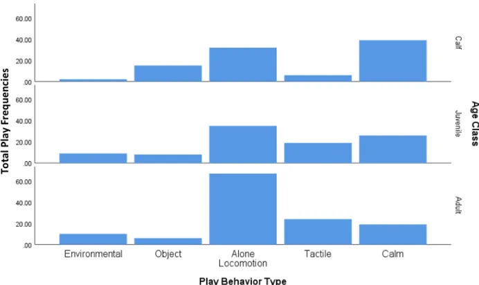 Table 2: The total number of play behavior occurrences, per age class and play type. The average frequency of each type of play behavior is displayed.