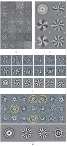Figure 4: (a) A model dataset with 4-fold symmetry. (b) Eigenimages from that dataset