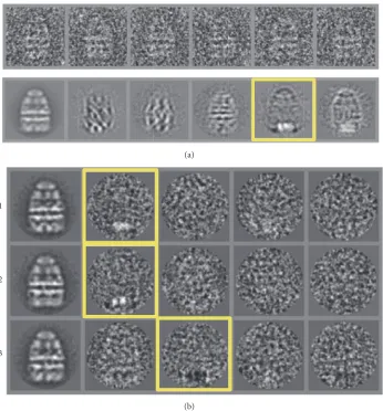 Figure 6: Eigenimages-Substrate Binding.Eigenimage 5, highlighted with a yellow box indicates heterogeneity in thefrom [5])of which are shown in (a)