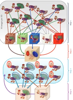 Figure 9: reconstructions determines the most significant differences in thehead (green) and tail (red) positions