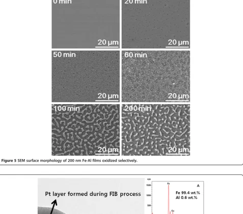 Figure 5 SEM surface morphology of 200 nm Fe-Al films oxidized selectively.