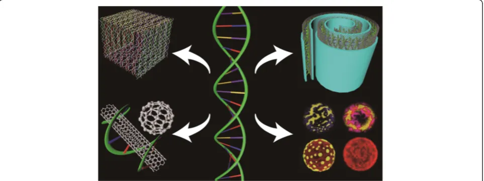 Figure 3 Structural DNA nanotechnology has many applications in modern nanodevice fabrication.