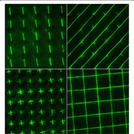 Figure 7 DNA uncoiling and forming precise patterns, a preludeto biologically based electronics and medical devices [61].