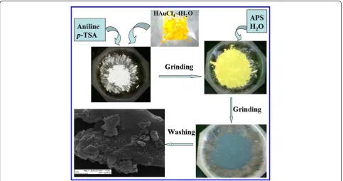 Figure 1 Schematic of solid-state method synthesis of PANI(HAuCl4·4H2O) hybrid material.
