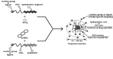 Figure 1. Polymer based drug delivery system  