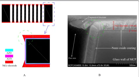 Figure 10 Schematic diagram of cross-sectional ALD-MCP. (A)bottom: partial enlargement