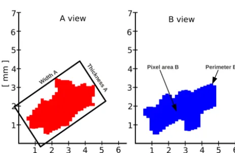 Figure 3. Examples of particles descriptors of 2DVD images (cam-(era B: particle apparent perimeter (era A and B)
