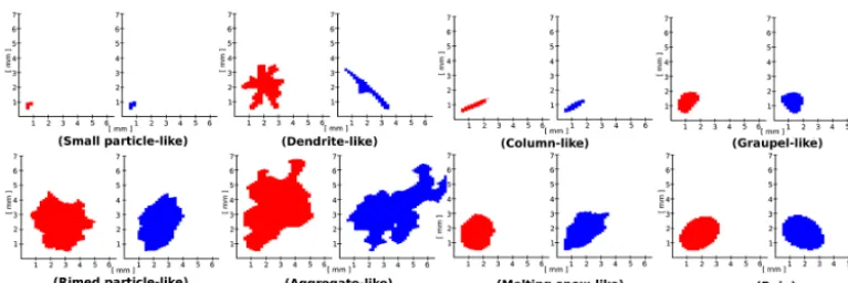 Figure 4. Examples of particle images (two camera views: A left, B right) belonging to time steps dominated by a particular hydrometeorclass.