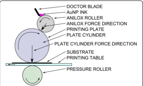 Figure 1 Schematic diagram of a flexographic printer. Ink istransferred to the printing plate from the anilox roller at a ratecontrolled by the anilox surface features and the doctor blade