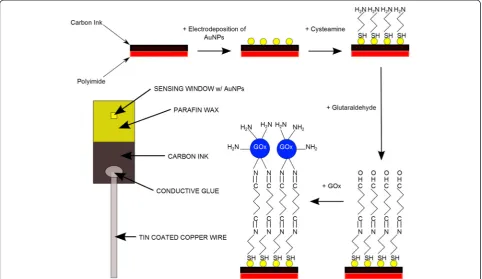 Figure 2 Schematic diagram showing the functionalisation scheme. The scheme shows the major steps in the functionalisation scheme forAuNPs on carbon electrode