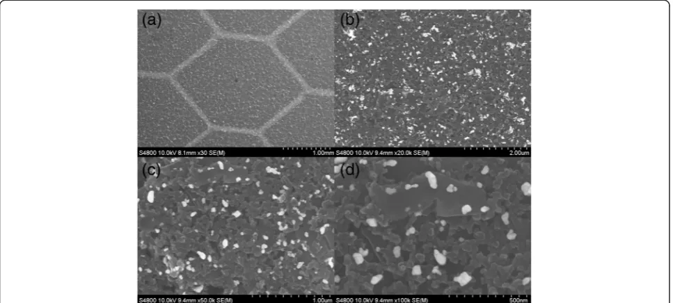 Figure 4 SEM image of printed AuNP ink on carbon electrodes showing the pattering of the particles