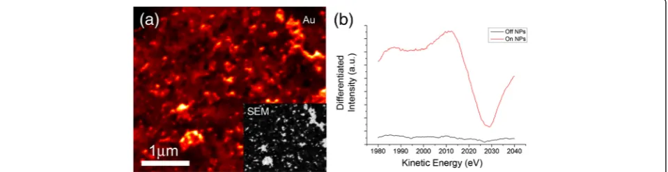 Figure 6 Scanning auger microscopy analysis of printed AuNPs on carbon electrode. (a) Scanning auger microscopy image of AuNPsusing peak intensity from the centre of the Au peak (inset shows SEM image of corresponding area)