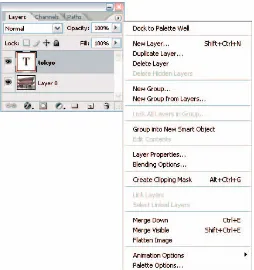 Figure 1-5: Palettes contain various types of icons and controls for editing and managing your image.