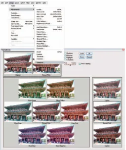Figure 1-7: The important Image menu is where you find commands for adjusting the size, color, and contrast of your image.
