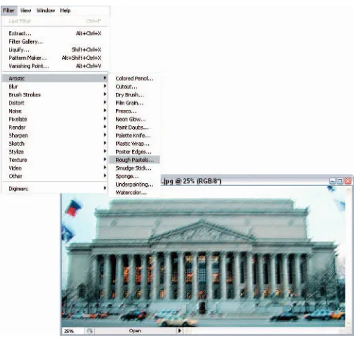 Figure 1-9: The Filter menu is bursting at the seams with plug-ins to improve, enhance, or completely transform your image.