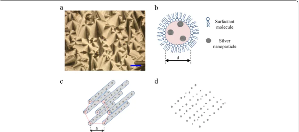 Figure 1 Silver nanoparticle formation. (a)micelle. Polarizing optical microscopy, the scale bar indicates 100 μm