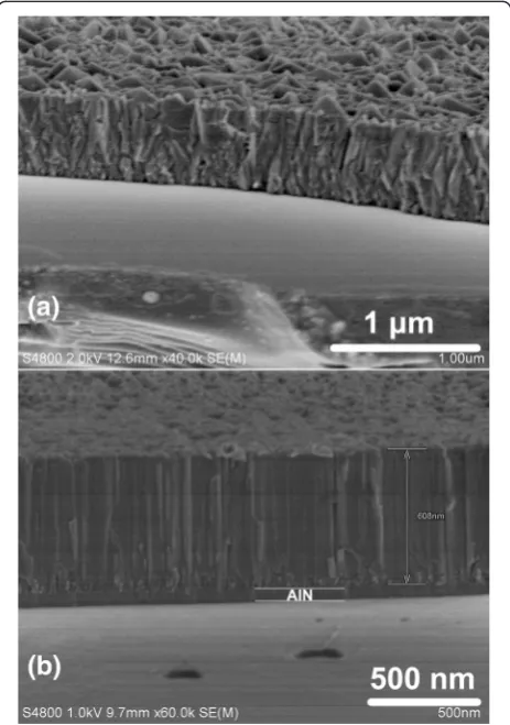 Figure 2 Cross-sectional SEM images of sample a and b.