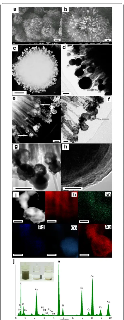 Figure 3 Typical morphology, structure, and composition ofthe hierarchical Co@Au/TiO2 nanostructures