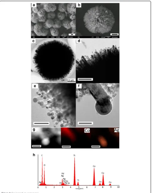 Figure 4 (See legend on next page.)